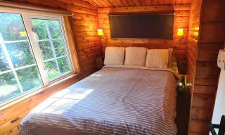 Cosy log cabin in Snowdonia 9 - Trawsfynydd - 2