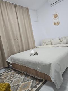 Apartament cu viziune, Arad - Arad - 4