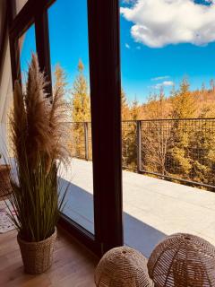 Domek z Balią-jacuzzi na wyłączność ! Domki dwa jelonki - Wisła - 8