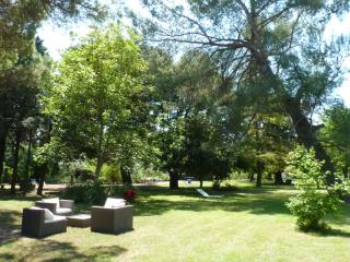 Domaine de Rhodes - 5 Chambres et 7 locations de vacances - Avignon - 3