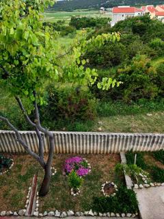 Apartment Almare - Novalja - 4
