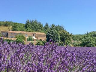 Hameau de l'Esperelle - Simiane-la-Rotonde - 5