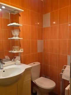 Gite de la Sauvetat - 2