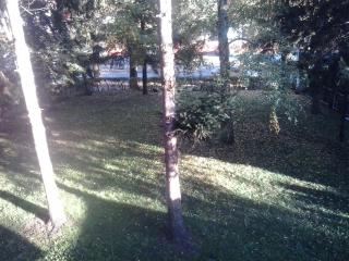 Apartman Jungic - Hiseti - 8