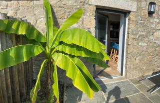 La cabane des plages - Plouescat - 1