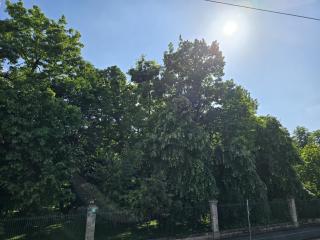 Charmant appartement chambre, cuisine et salle de bain avec balcon sur Jardin Massey - Tarbes - 9