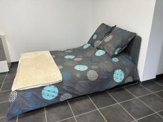 Studio proche Vienne 38200 - Jardin - 4