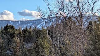 Perfect Windham Escape Townhouse for family fun! - Windham - 6