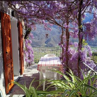 Casa il Glicine Valtellina - Tresivio - 1