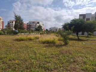 Tanger à quelques mètres de la plage - 1