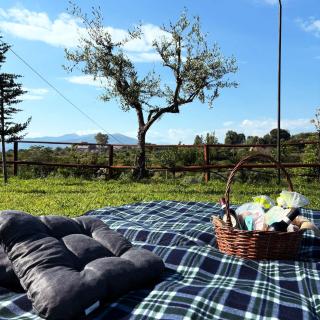 Guar Country Resort - - 9