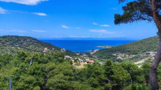 Villa tusia - Brauron - 9
