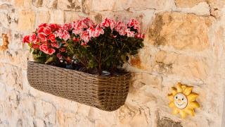 Trullo Rudy - Martina Franca - 6