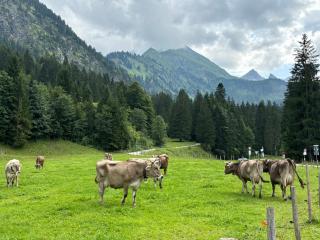 Alternative zur Junior-Suite - Immenstadt im Allgäu - 7