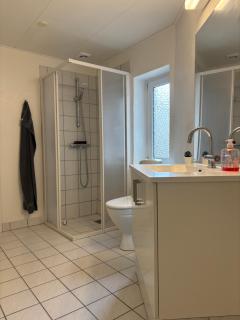 Grøn Odense Central - 4