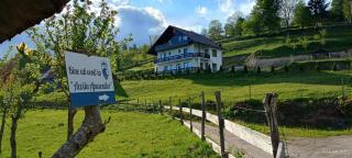Pensiunea Agroturistica Acvila Apusenilor - Vadu Moţilor - 9
