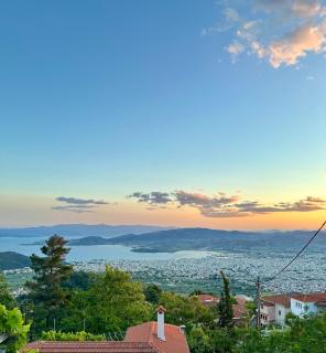 Vines & Views - Ano Volos - 9
