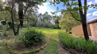 Quinta da Mata de Baixo - Dornes - 3