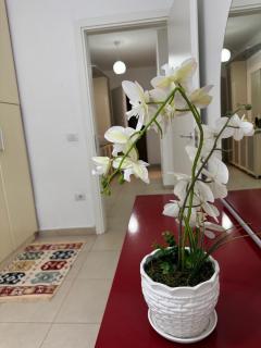 Mel Apartment - Durazzo - 1