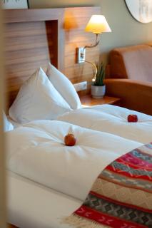 Hotel Alte Post - Grossarl - 8