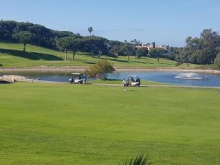 Stork nest - Vilamoura - 3