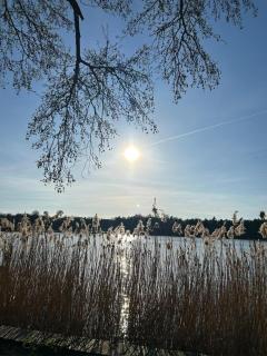 Ferienhaus Leuchtturmblick Hafendorf Rheinsberg - Rheinsberg - 9