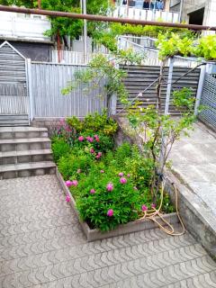 Guesthouse - Happy house in Kutaisi - Kutaisi - 4