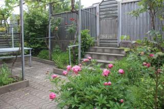 Guesthouse - Happy house in Kutaisi - Kutaisi - 5