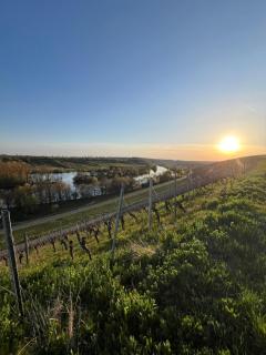 VOLKACH 1 Zimmer 2 Personen - Volkach - 4