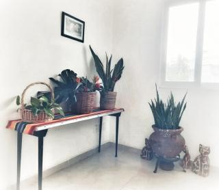 villa frida con alberca - Martínez de La Torre - 6