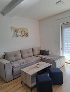 Apartman Lazarevic - Soko Banja - 4