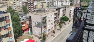 Dudino gnezdo - Bor - 7