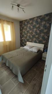 Maison Tarn sud - Castres - 7