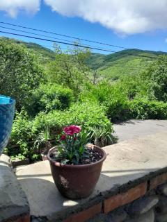 Emilia - Sighnaghi - 7