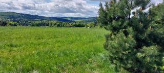 Tygiel Krzywa, Beskid Niski - - 8