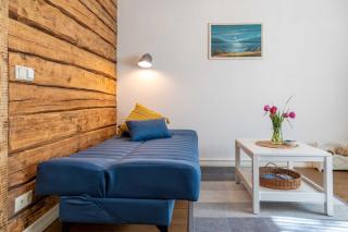 Aiaviisa apartment - Pärnu - 6