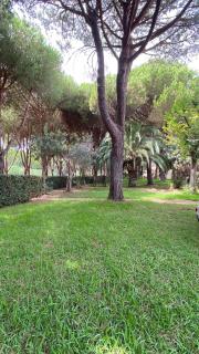 La casina al mare - Grosseto - 2