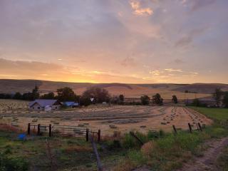 8 Mile Farm Bed & Breakfast - The Dalles - 0