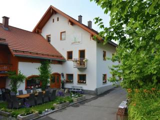 Holiday home with panoramic view and every convenience - spa - Waldkirchen - 8