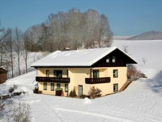 Apartment in Zellertal near Bavarian Forest - Drachselsried - 9