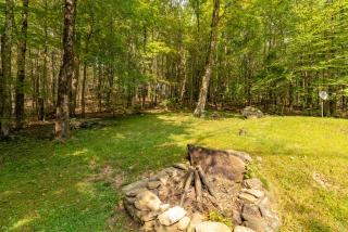 Cozy Berkshires Cabin with Lake, Beach, Hot Tub, Fireplace - The Wilde BNB - - 6