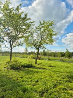 Domek nad Dadajem - Kromerowo - 5