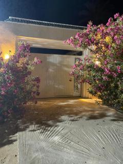 Villa Papaya - Djerba - Mezraya - 9