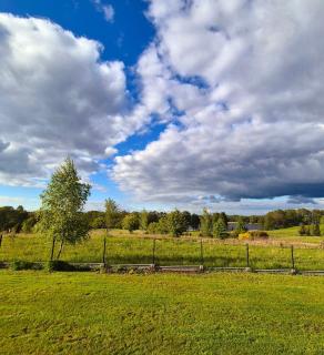 Domek nad Dadajem - Kromerowo - 9