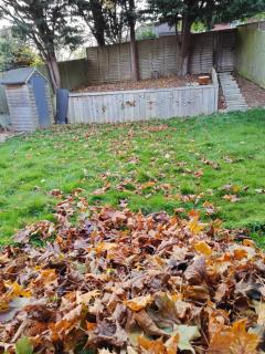 Home of love and peace - 3