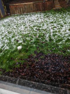 Home of love and peace - 2