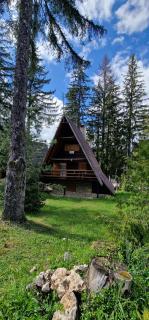 Planinska kuća DIVNA - Ivišovo Greblje - 8