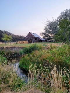 8 Mile Farm Bed & Breakfast - The Dalles - 5