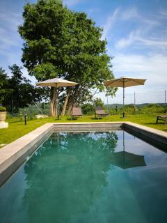 Beautiful villa between Uzès & Avignon - 0