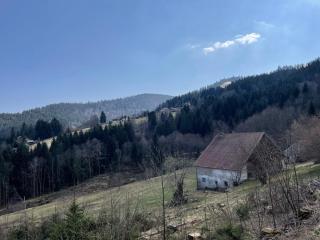 Le chalet de Wilma - Ventron - 4